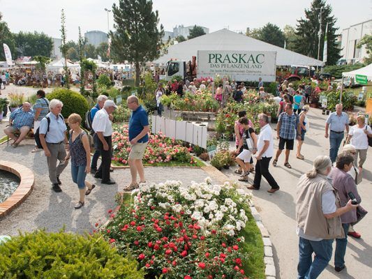 圖爾恩國際園藝博覽會,圖爾恩國際園藝博覽會現場，花園展現場